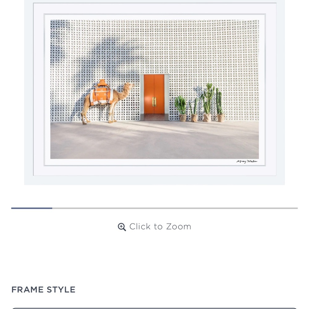 Gray Malin Camel and Cacti Photography - Orange, Green, White